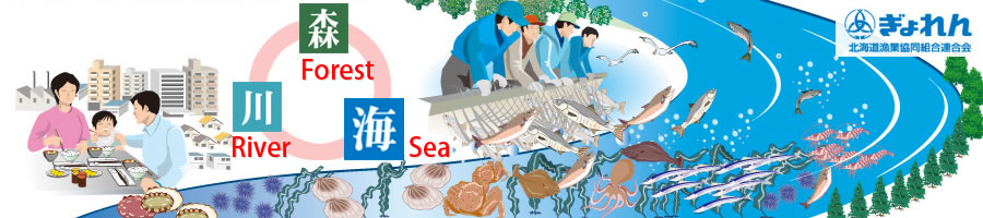 Let us cultivate abundant seas and forests in Hokkaido Let us protect an environment of safe and secure food